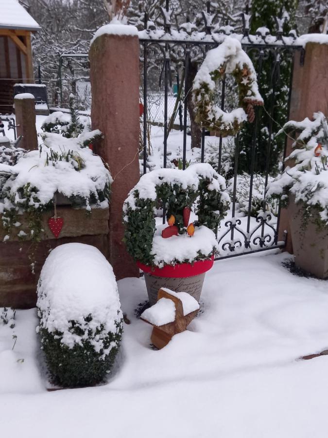 L'Alcove Des P'Tits Coeurs Villa Benfeld Exterior foto